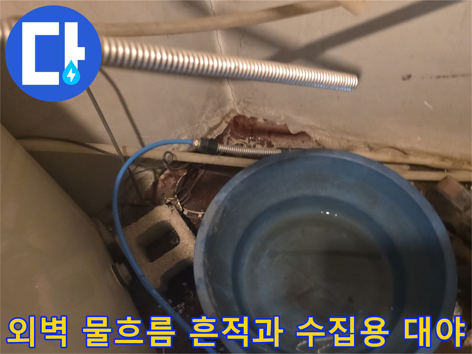 건물 외벽의 균열 부위에서 흘러나온 물이 바닥 대야에 고여 있는 상태입니다.