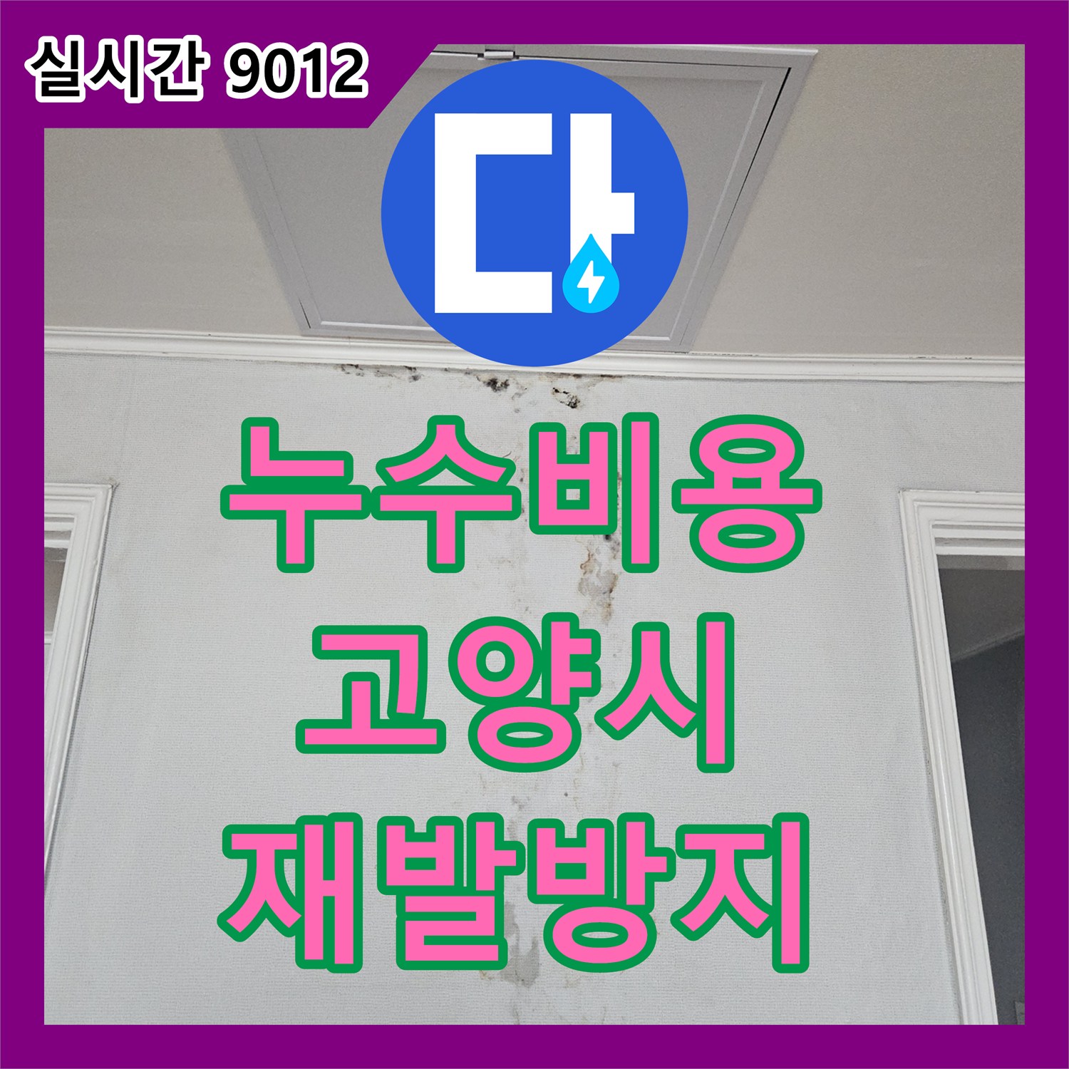 누수탐지비용, 외벽 크랙으로 인한 빗물 스밈과 벽면 곰팡이 문제를 전문적인 기술로 파악하고 방지하는 경기 고양시 일산동구