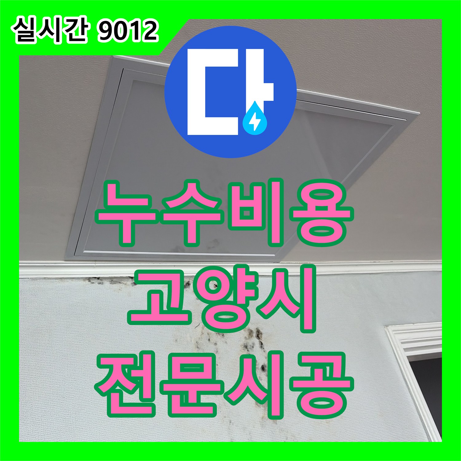 누수탐지비용, 천장 누수로 벽지 젖음과 검은 곰팡이 번식 문제를 첨단 장비로 정밀하게 탐지하고 맞춤형 공사를 진행하는 경기 고양시 일산동구