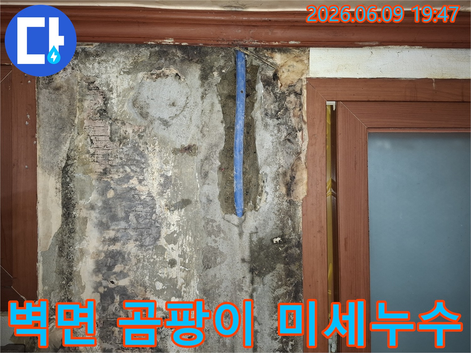 벽면-곰팡이-발생과-노출된-배관을-통해-미세누수-원인을-탐지하는-현장-사진