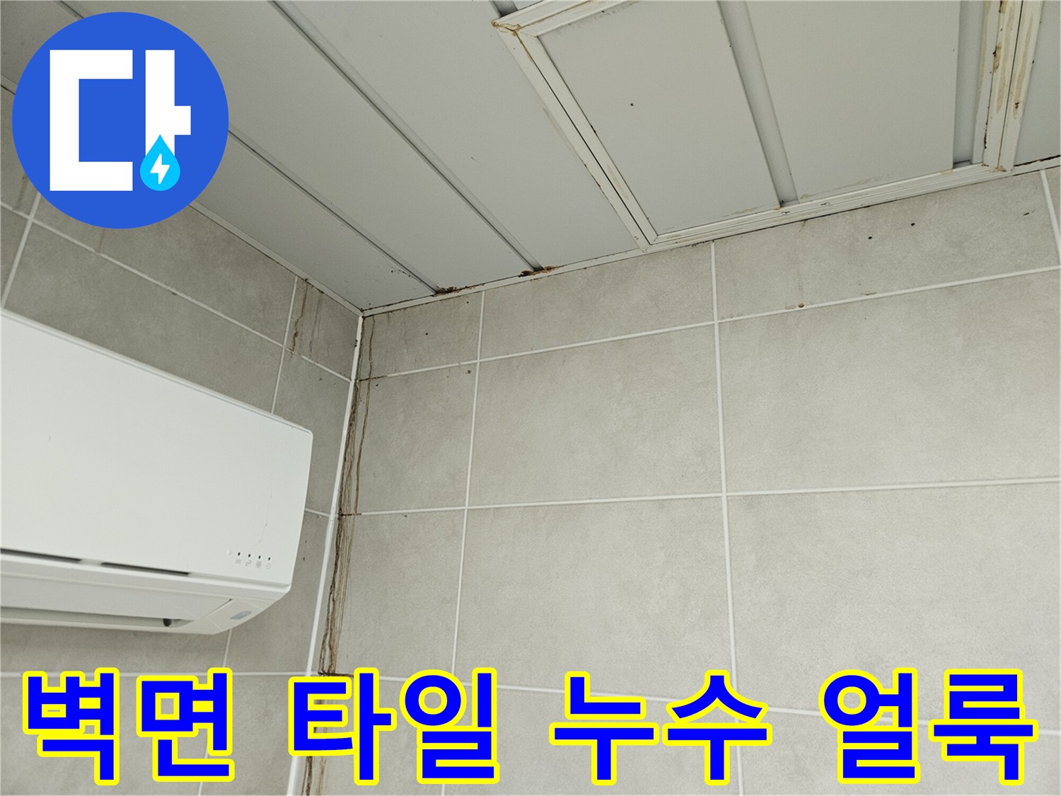 세탁실 벽면 타일 줄눈에 나타난 어두운 물길 자국