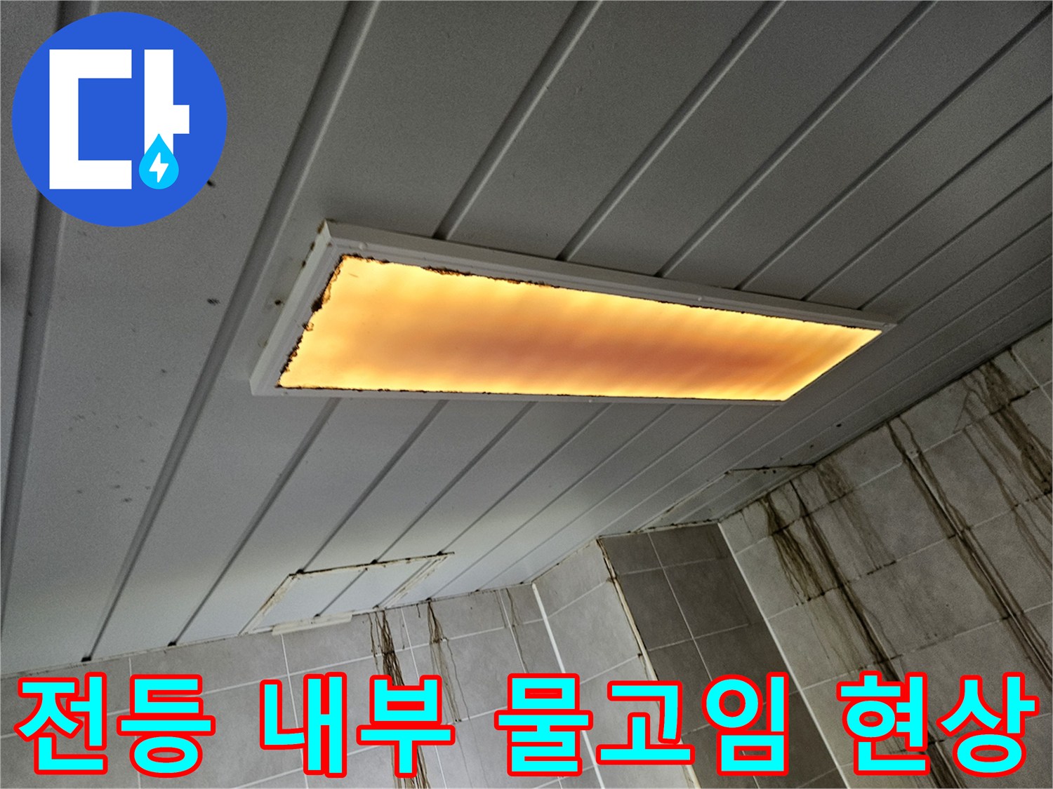 천장 조명 기구 내부에 고여 있는 물과 누수 흔적