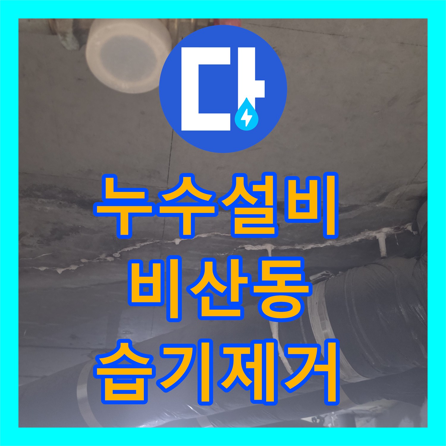 누수설비 아파트 화장실 천장 습기 원인이 된 방수 결함 보수 작업 후기 안양시 동안구 비산동