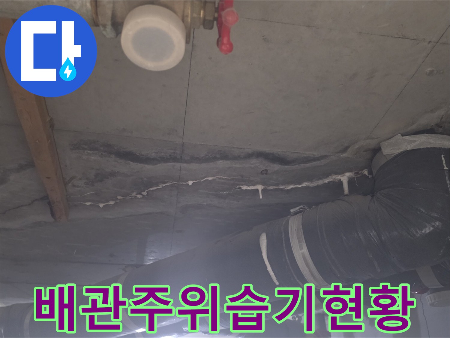 안양-비산동-아파트-배관-주변-콘크리트-습기-상태