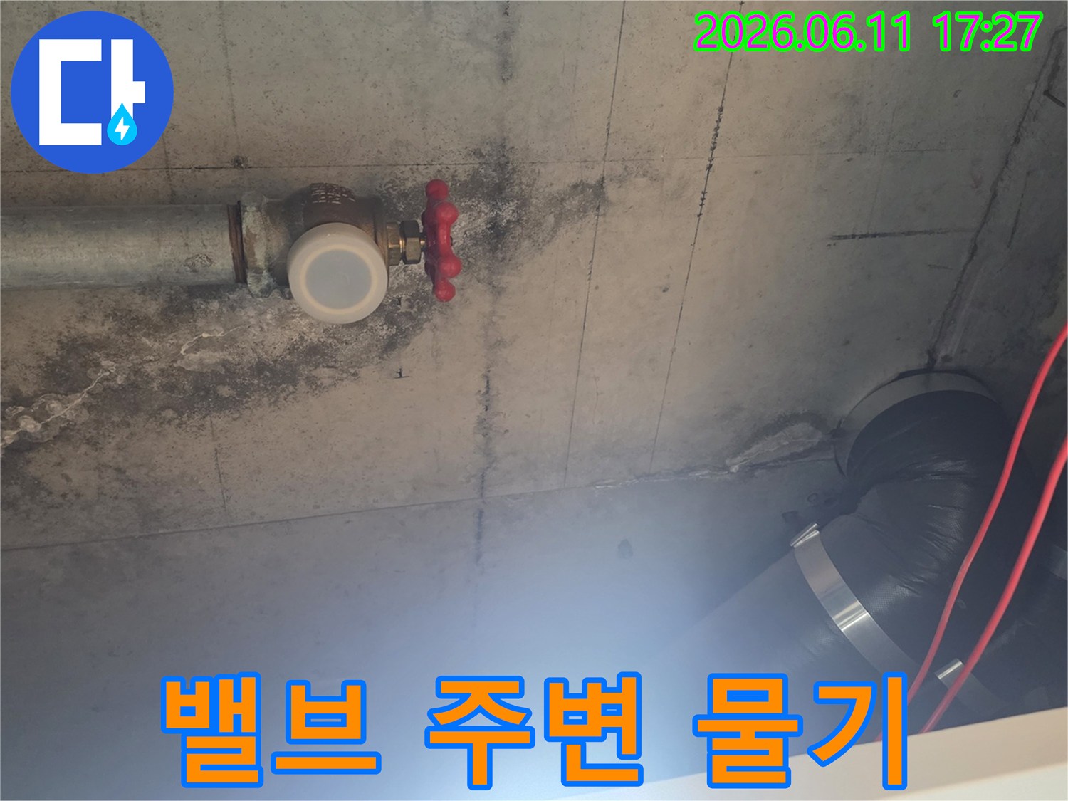 콘크리트 천장에-물자국과 곰팡이가-선명하게 보이는-누수 현장 사진입니다