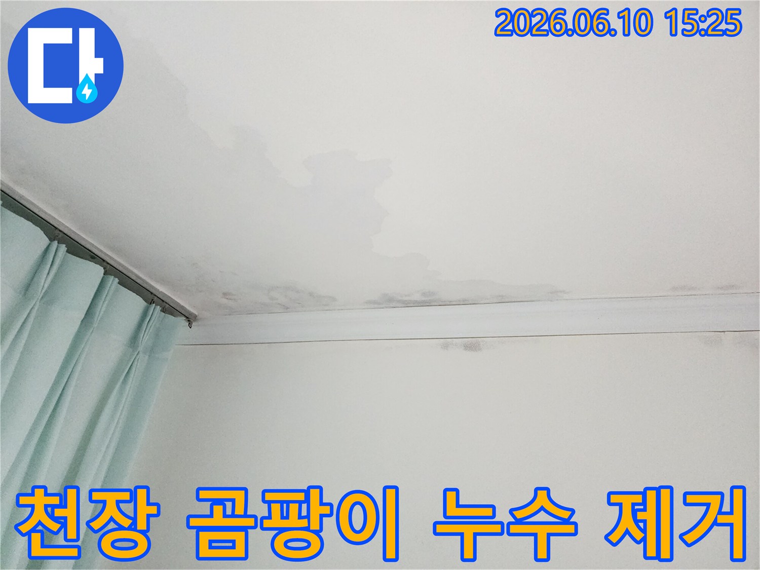 천장에 생긴 검은 곰팡이와 물자국-누수와 함께 곰팡이 제거가 필요한 현장