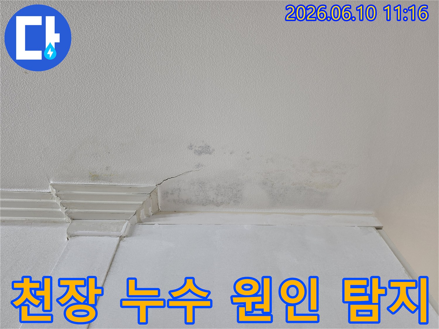 천장 벽지에-누수로-인한-물얼룩과-곰팡이-그리고-작은-균열이-보여-원인-탐지가-필요합니다