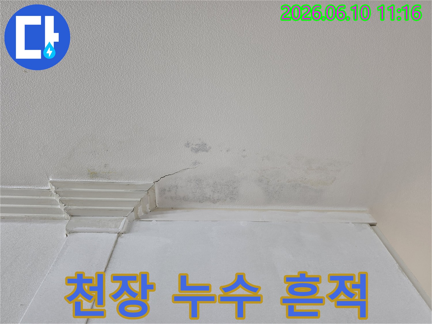 천장 벽지에-누수로-인한-물얼룩과-곰팡이-그리고-작은-균열이-선명하게-보입니다