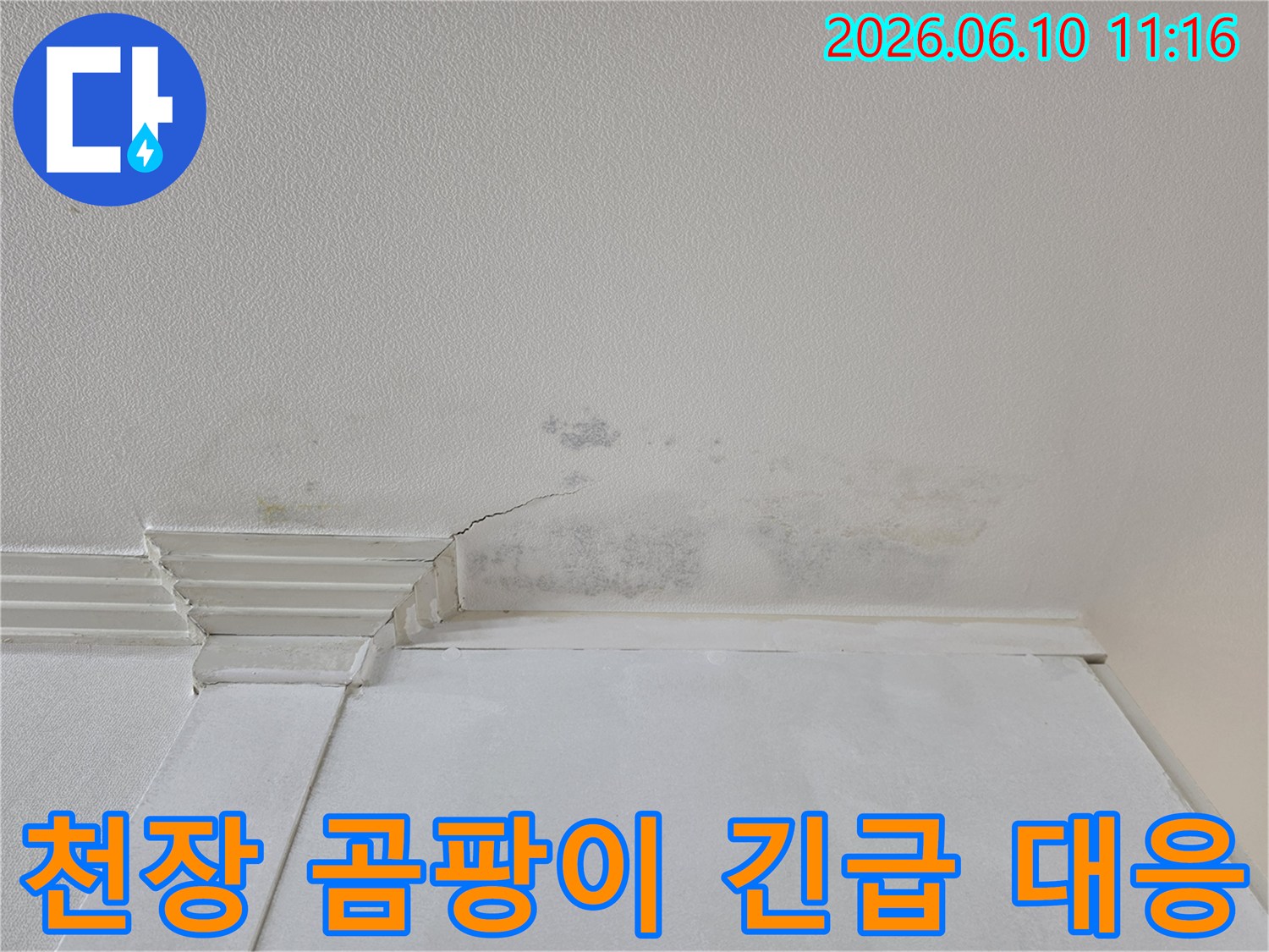 천장 벽지에-발생한-누수로-인한-균열과-곰팡이를-긴급하게-대응하는-모습입니다