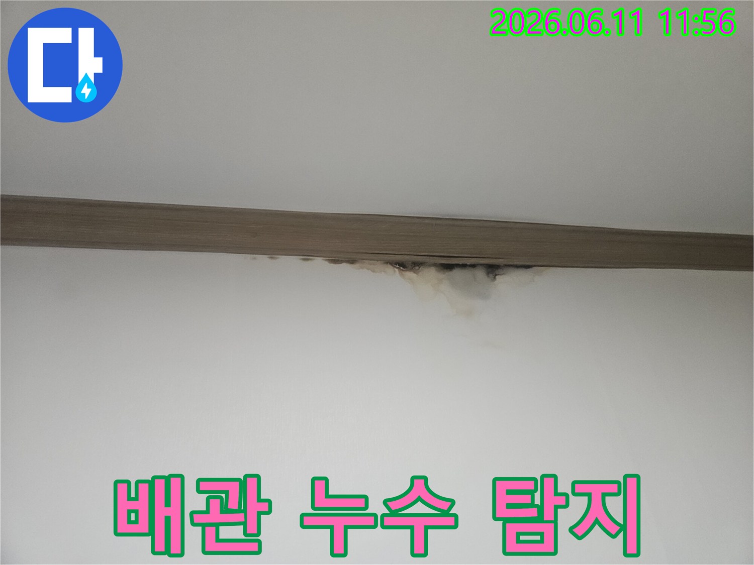 천장 몰딩 아래-누수로 인해 벽지가 젖고-곰팡이가 피어난 모습으로-배관 누수가 의심되는 현장