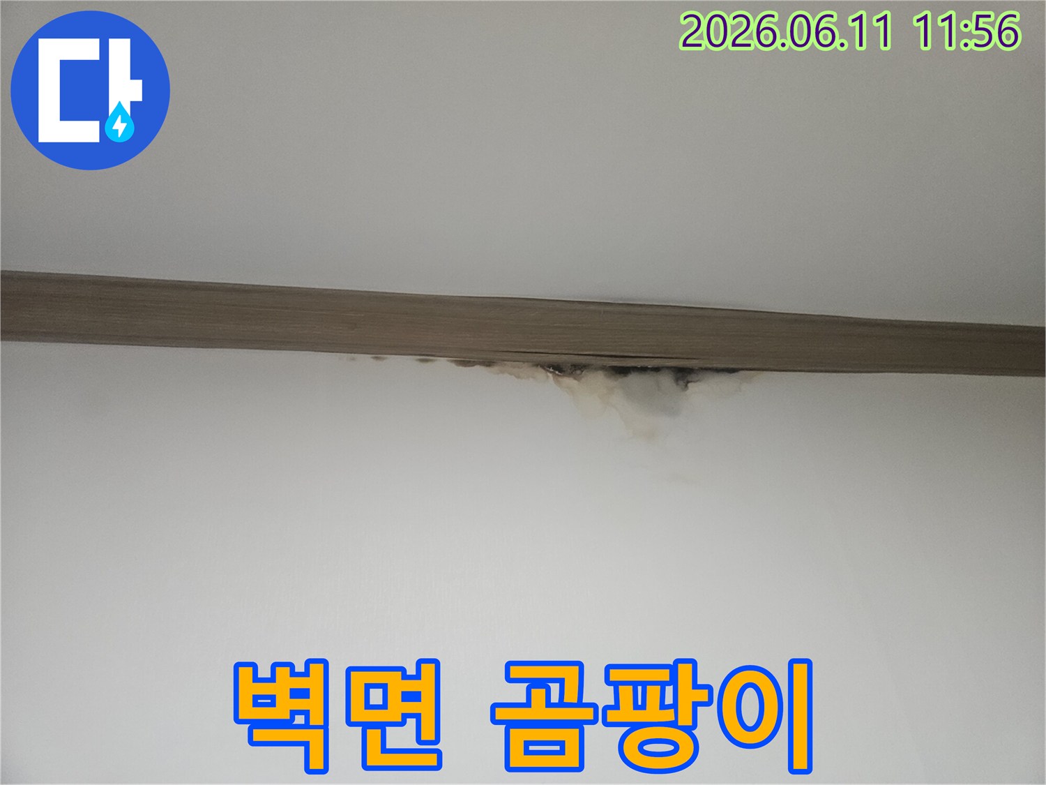 천장과 벽 사이-누수로 인한 물얼룩과-검은 곰팡이가 선명하게 보이는 현장