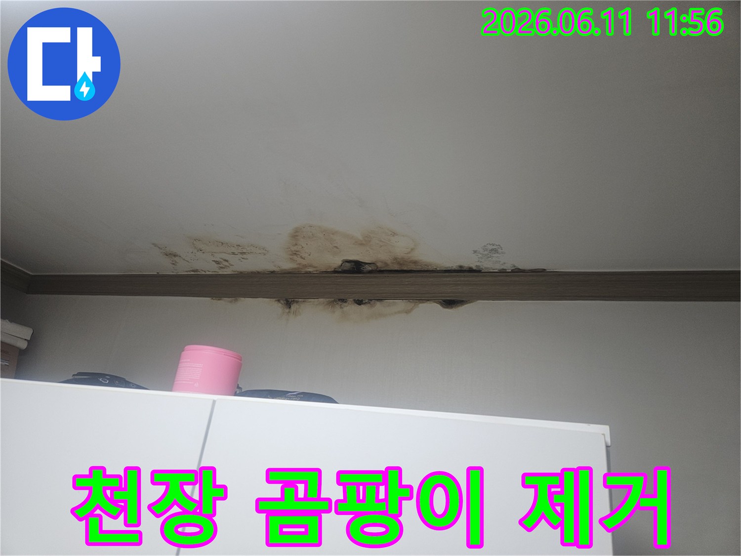 천장에서 물이 새어-곰팡이가 심하게 번진-건강에 해로운 누수 현장