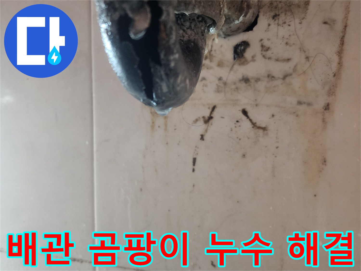 배관-주변에-심하게-번식한-곰팡이와-누수-흔적을-보여주며-건강에-위협이-될-수-있음을-나타내는-사진입니다