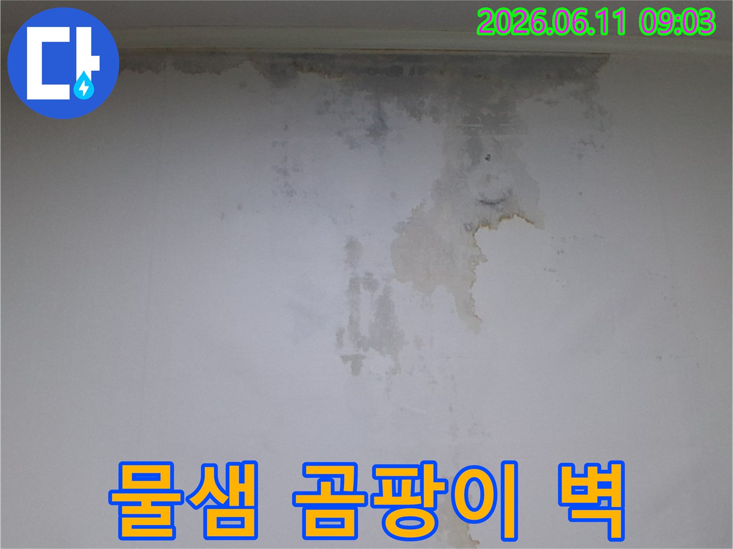 벽면에-발생한-심각한-물샘-자국과-광범위하게-번진-곰팡이-모습