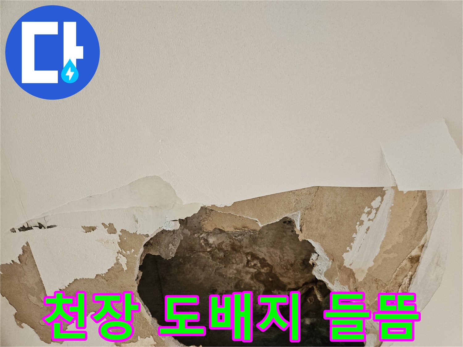 물에-젖어-들뜬-천장-도배지와-벽면-상태