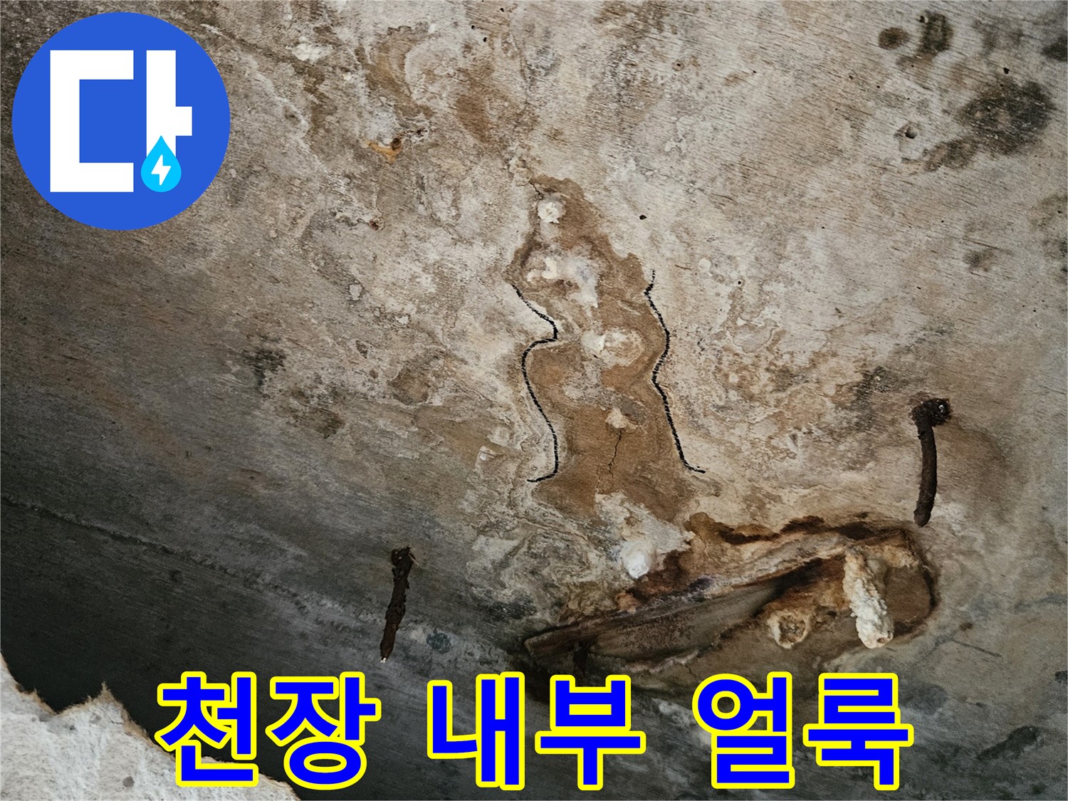 습기로-오염된-천장-내부-구조물