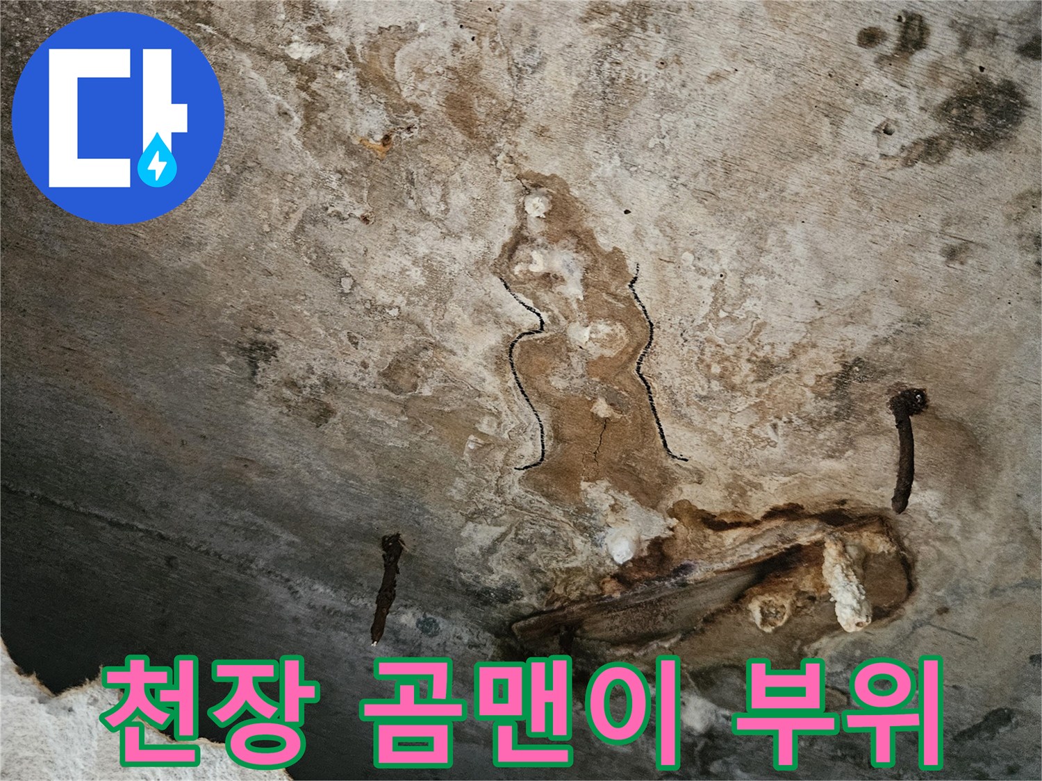 천장-콘크리트-면의-심한-습기-및-곰팡이-오염
