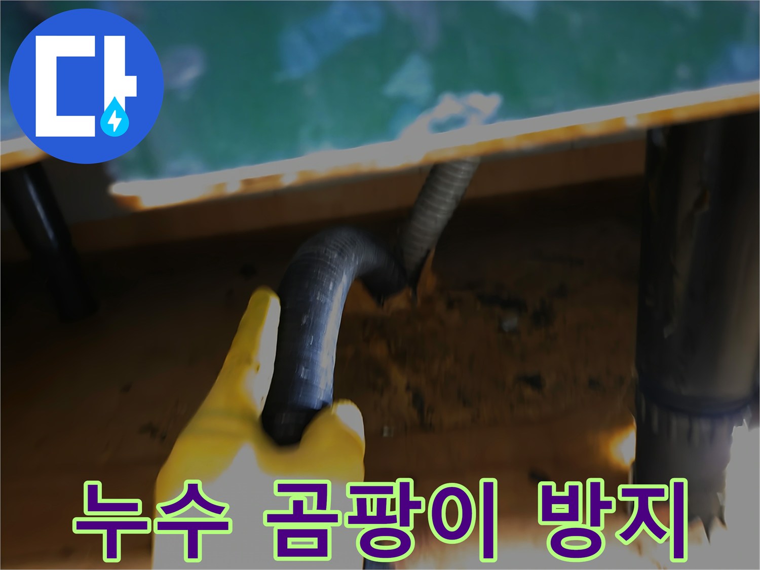 누수-현장에서-물을-석션으로-제거하여-곰팡이-발생을-예방하는-작업-과정