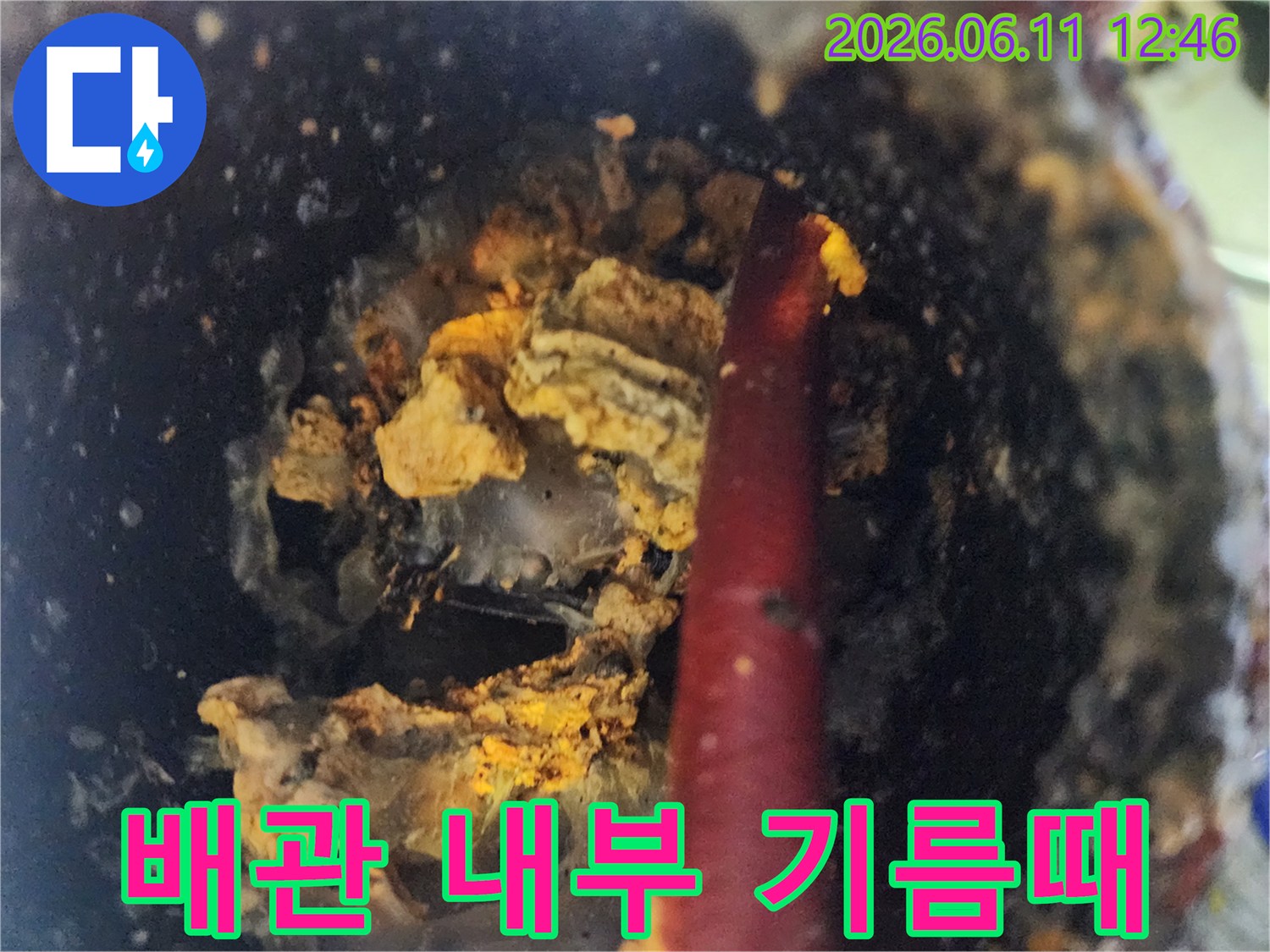오수관 내부의 누런 기름 슬러지와 이물질 상태