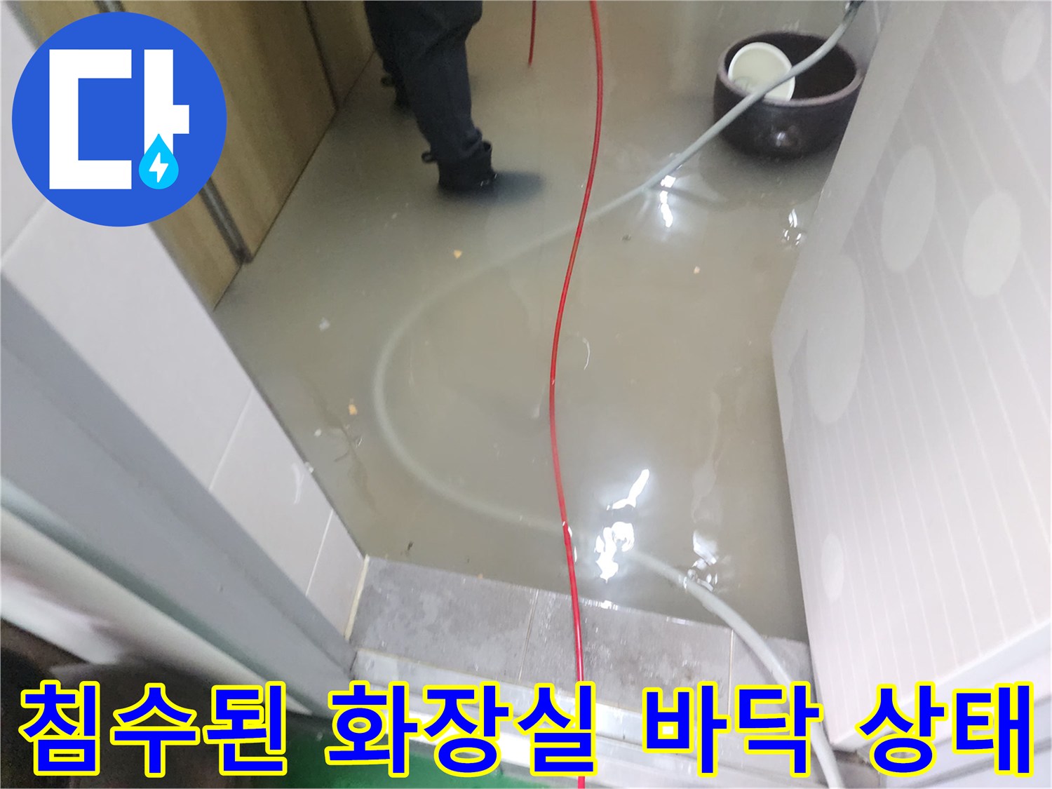 오수가 역류하여 고여 있는 상가 화장실의 모습입니다.
