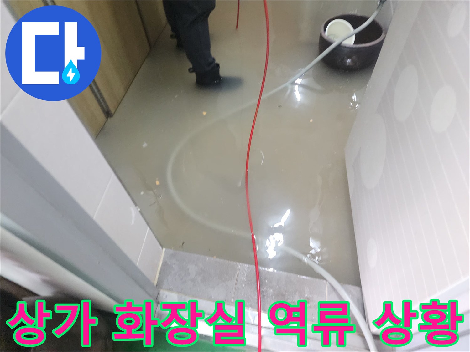 종로구 상가 화장실 바닥에 오수가 가득 차서 역류하고 있는 모습입니다.
