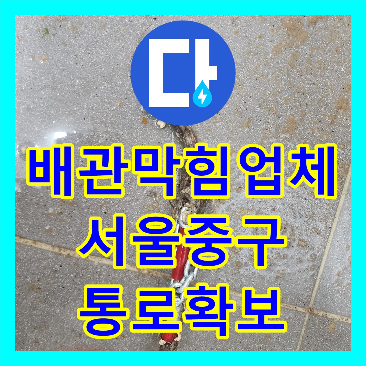 배관막힘업체 내시경 진단 후 슬러지와 머리카락을 모두 수거한 서울 중구 신당동 현장