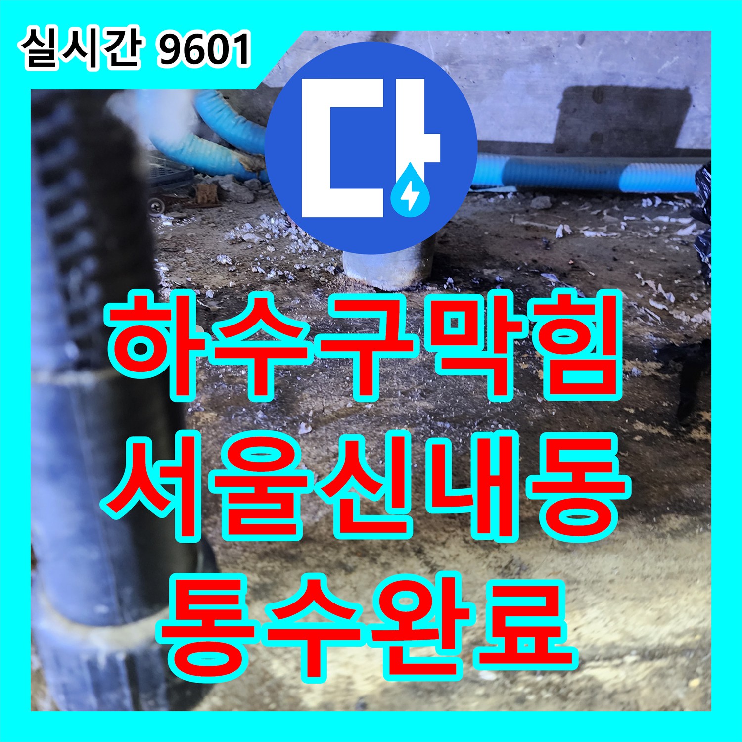 하수구막힘 싱크대 볼에서 물이 역류하는 증상을 내시경 진단과 스케일링으로 해결한 서울 중랑구 신내동 현장