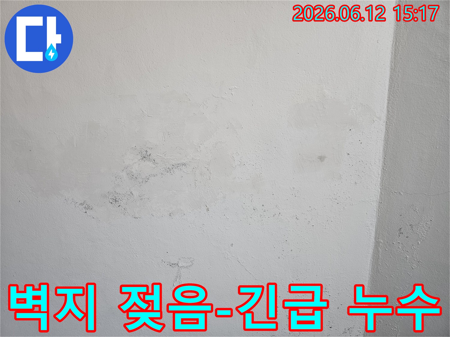 벽지가 젖고 곰팡이가 피어난 모습으로-명확한 누수 문제임을 보여줍니다