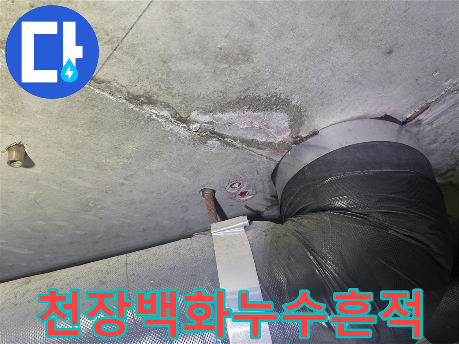 콘크리트 천장에-하얗게 피어난-백화 현상과-오랜 시간-진행된 듯한-누수 자국-그리고 배관 주변의-습기