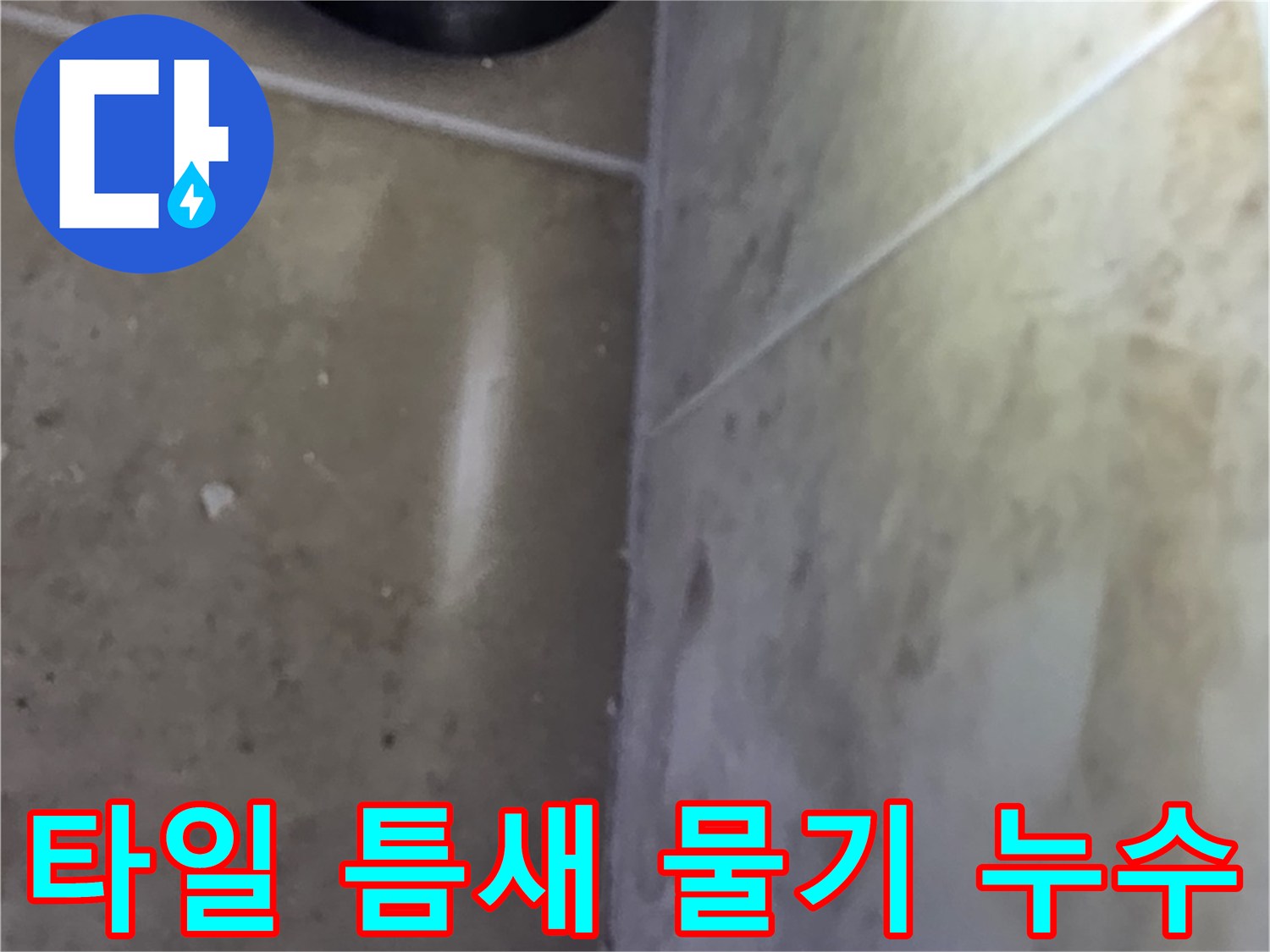 타일 사이 틈새에서 발견된 물기로-누수 발생 지점을 파악하는 현장 사진