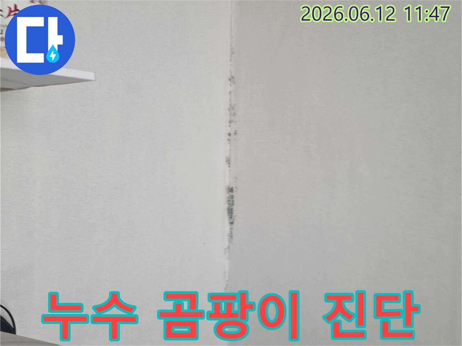 천장 모서리에 검게 번진 곰팡이는-전문가의 정확한 진단과 신속한 누수 해결이 필요함을 시사합니다.