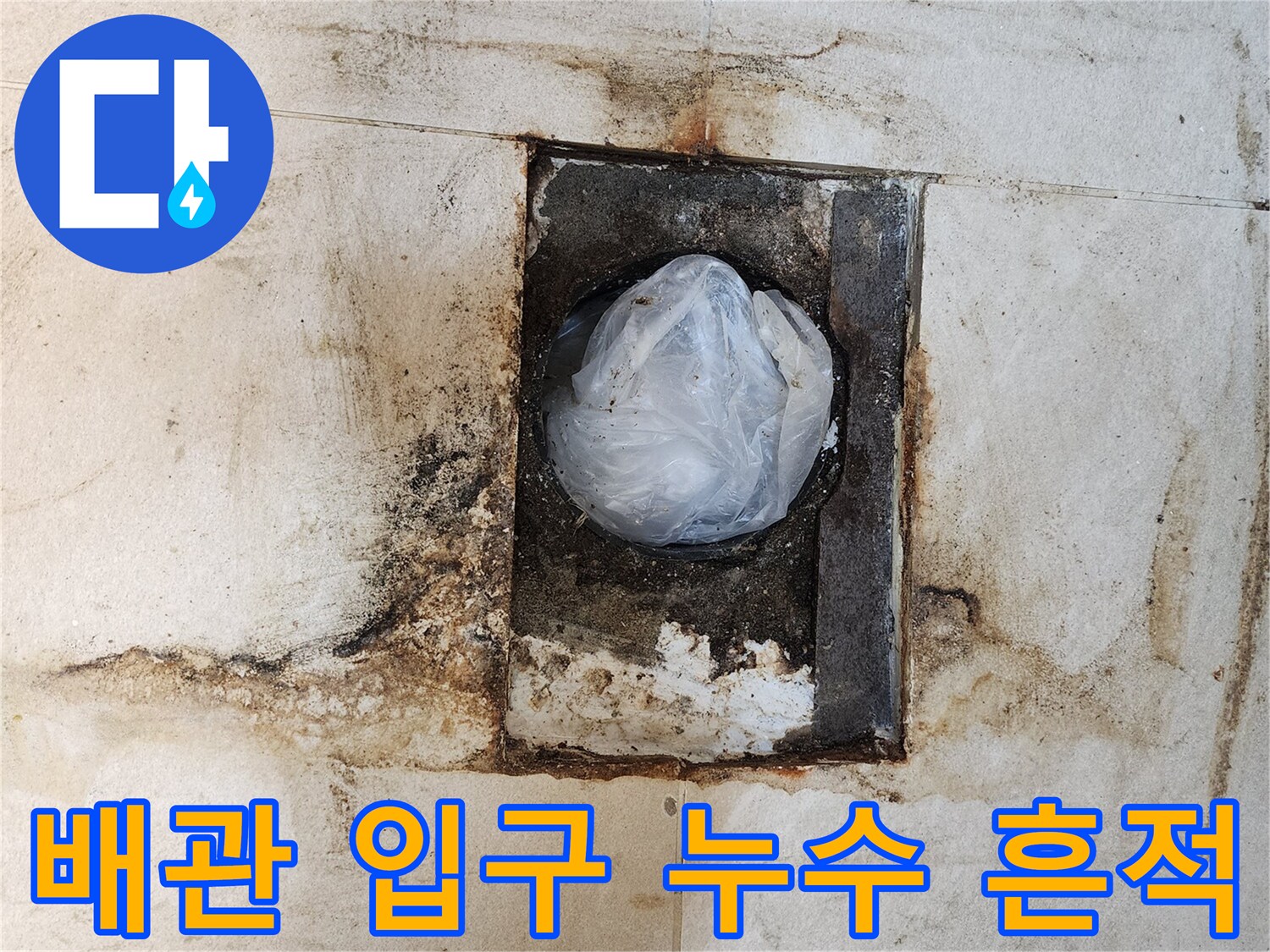 변기 탈거 후 드러난 배관 주변의 심한 오염과 습기를 담은 사진입니다.