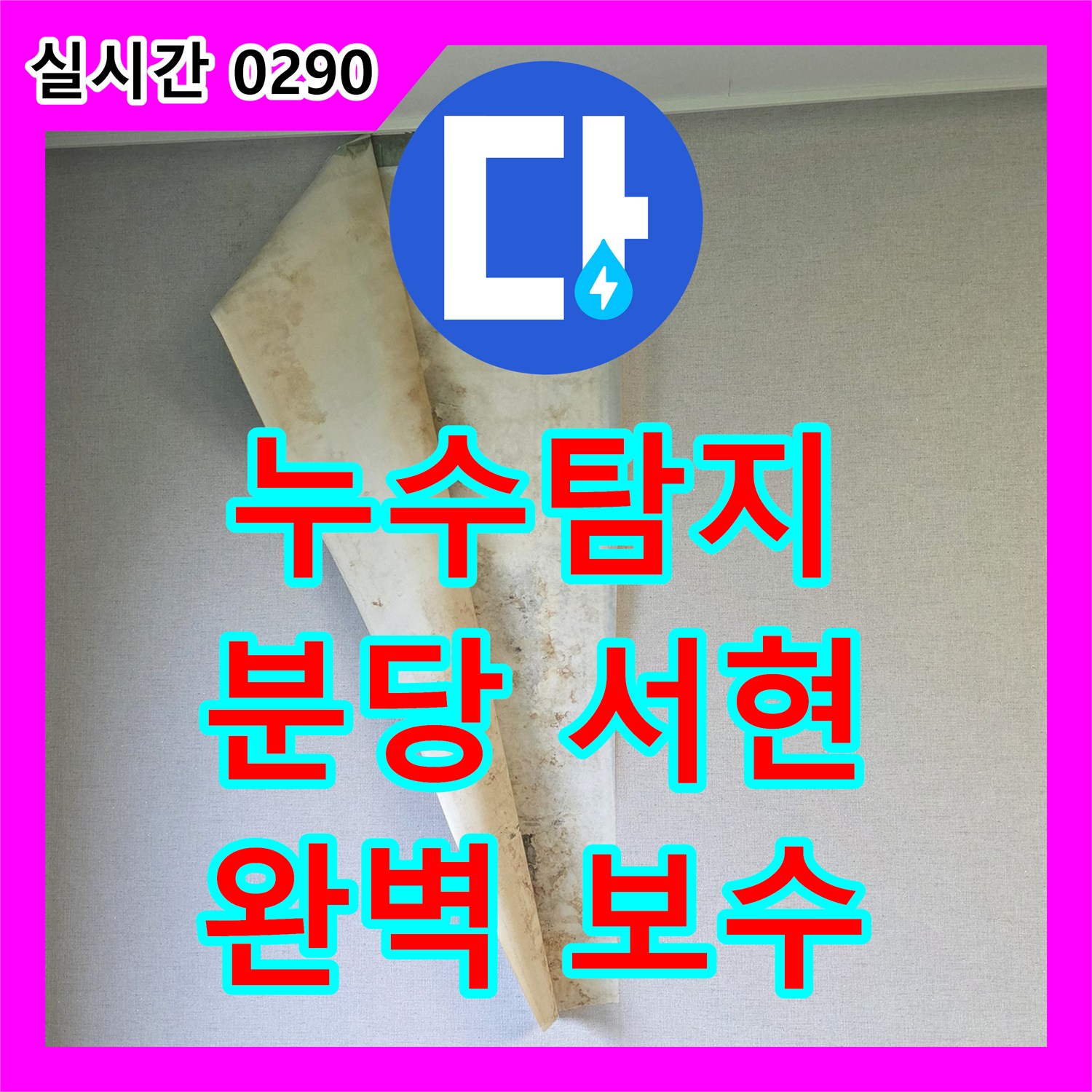 누수탐지 심각한 누수 현상, 신속하게 진단하고 해결책을 제시 성남시 분당구