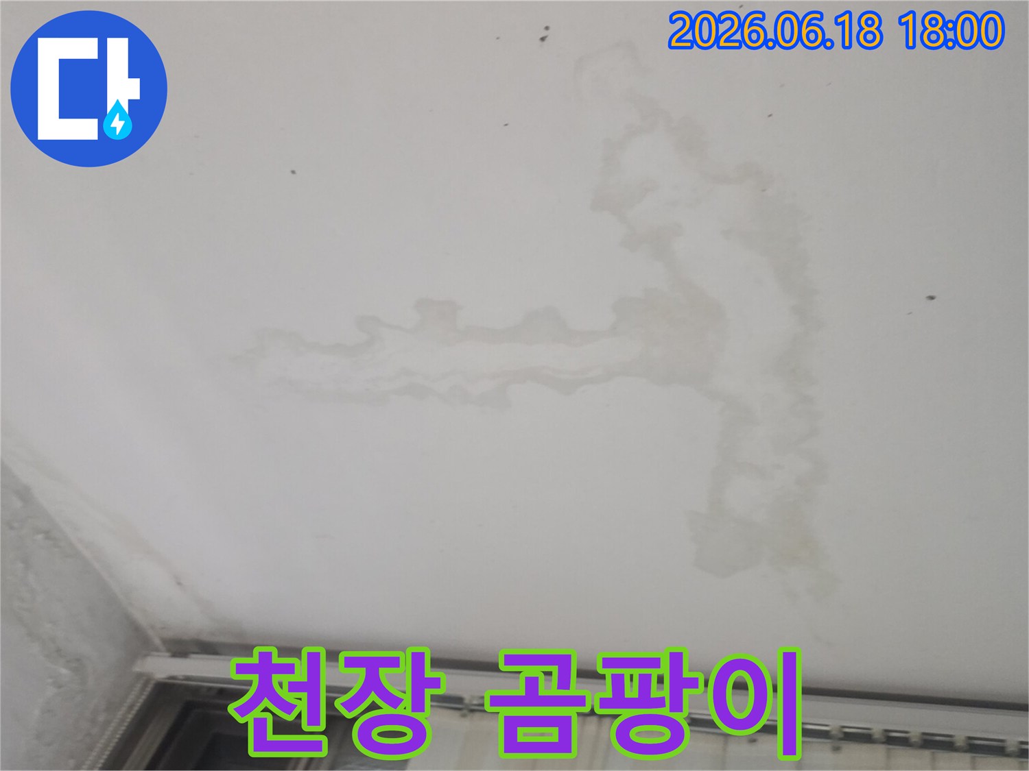윗집-누수로-인해-천장에-발생한-물-얼룩은-곰팡이-번식으로-이어질-수-있어-신속한-전문가-조치가-필요함을-보여줍니다