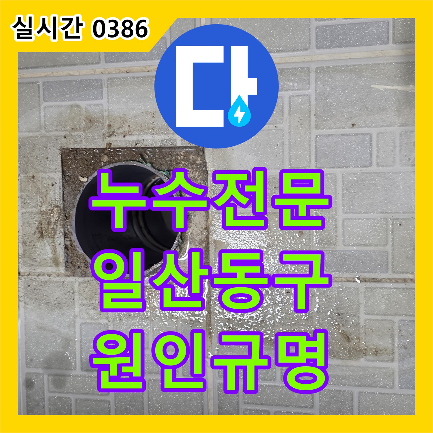 누수전문업체로 누수 의심 지역 배관의 압력 검사를 진행하고 원인을 추정한 경기도 고양시 일산동구 풍동