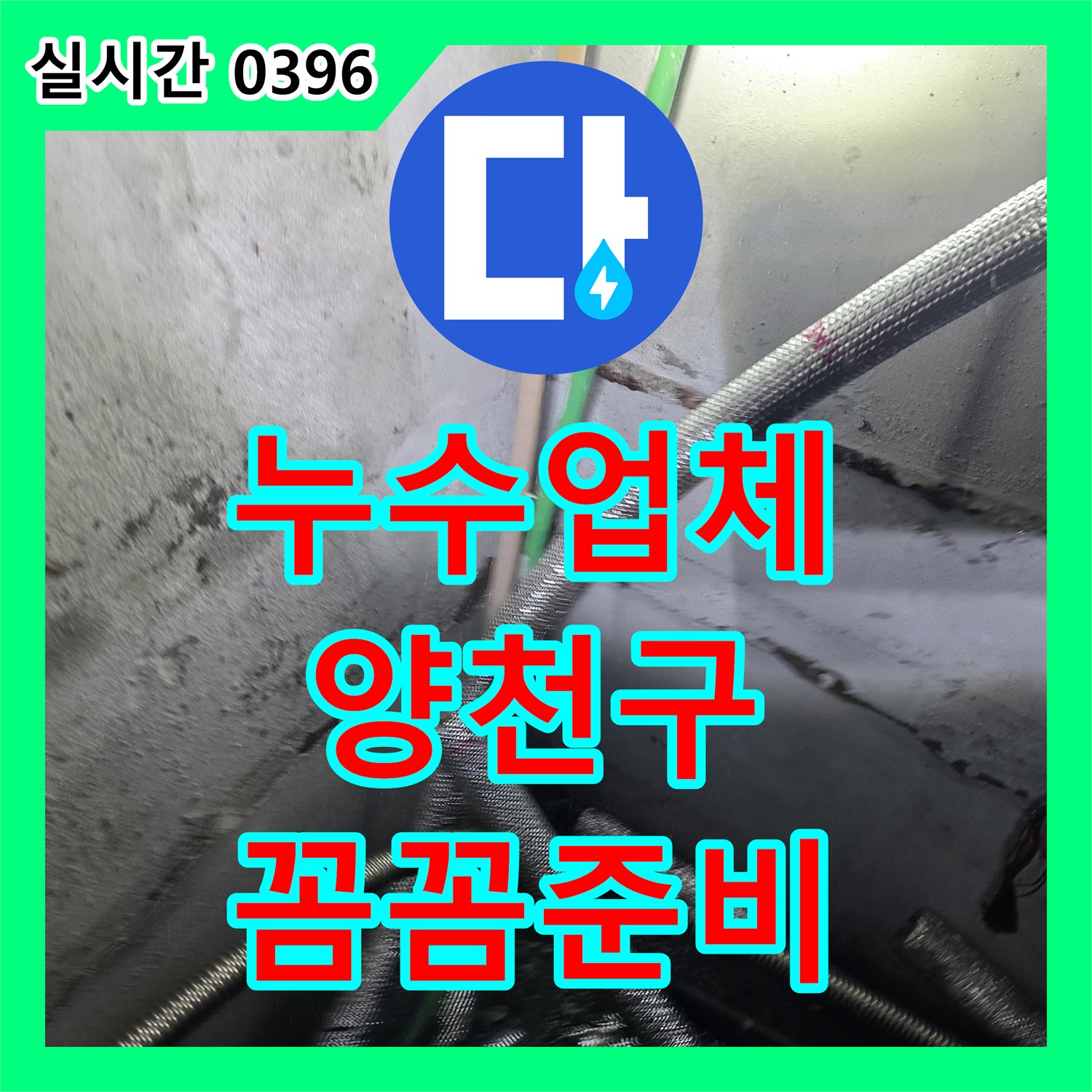 누수업체가 서울 양천구 빌라 지하층 물기 문제, 꼼꼼하게 탐지 준비했습니다