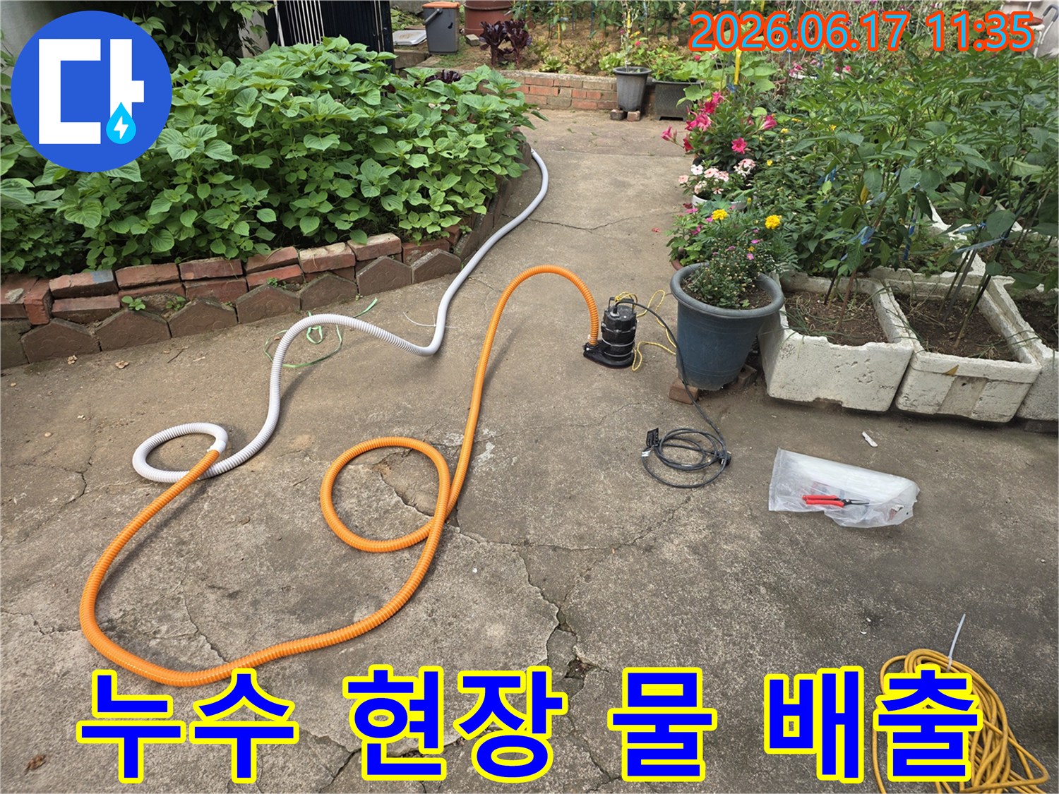 주택 외부의 물 문제를 해결하고자-효율적인 물 배출을 위해-호스를 연결한 모습