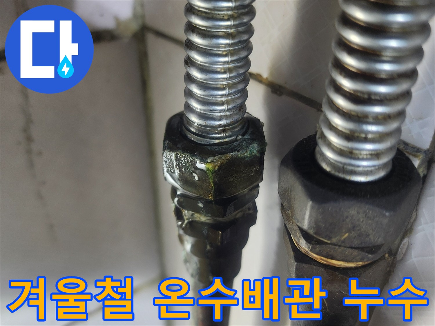 이 이미지는 노후된 온수배관의 연결 부위에서-녹색 부식과 함께 물이 새는-겨울철에 더욱 주의해야 할 누수 현장을 보여줍니다.