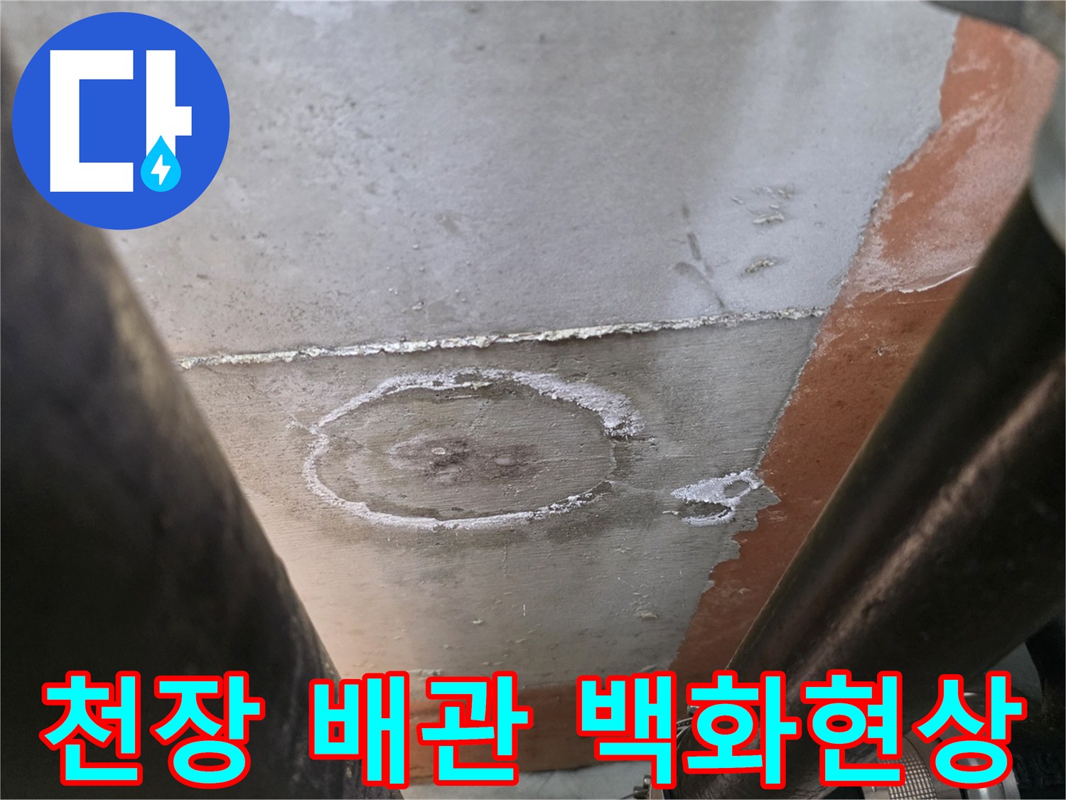 화장실 천장 내부-배관 주변에 발생한 하얀 백화 현상 사진