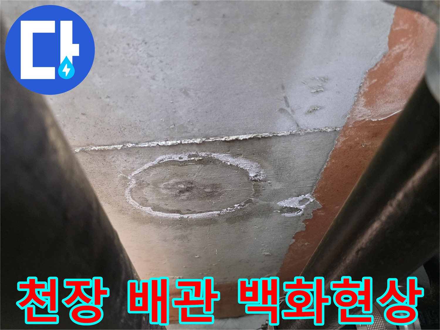 화장실 천장 배관 주변에 하얗게 나타난 백화 현상