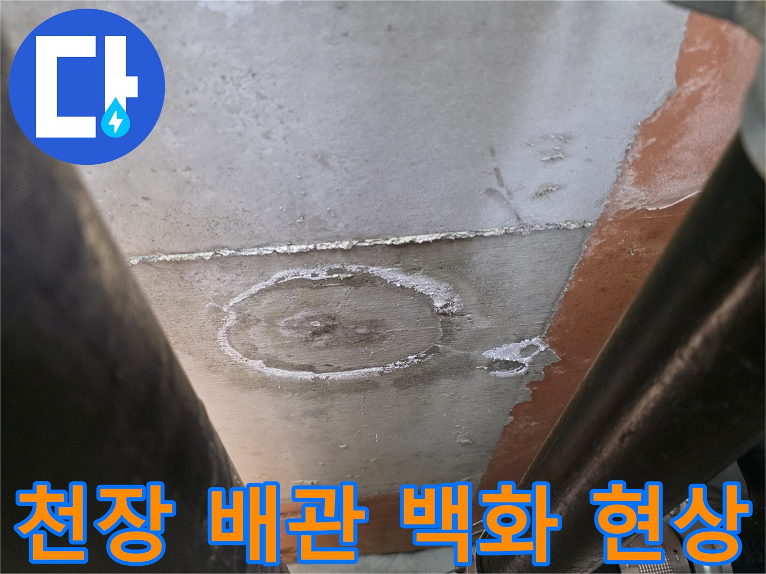 화장실 천장 배관 주변의 하얀 백화 현상과 습기 상태를 보여주는 사진