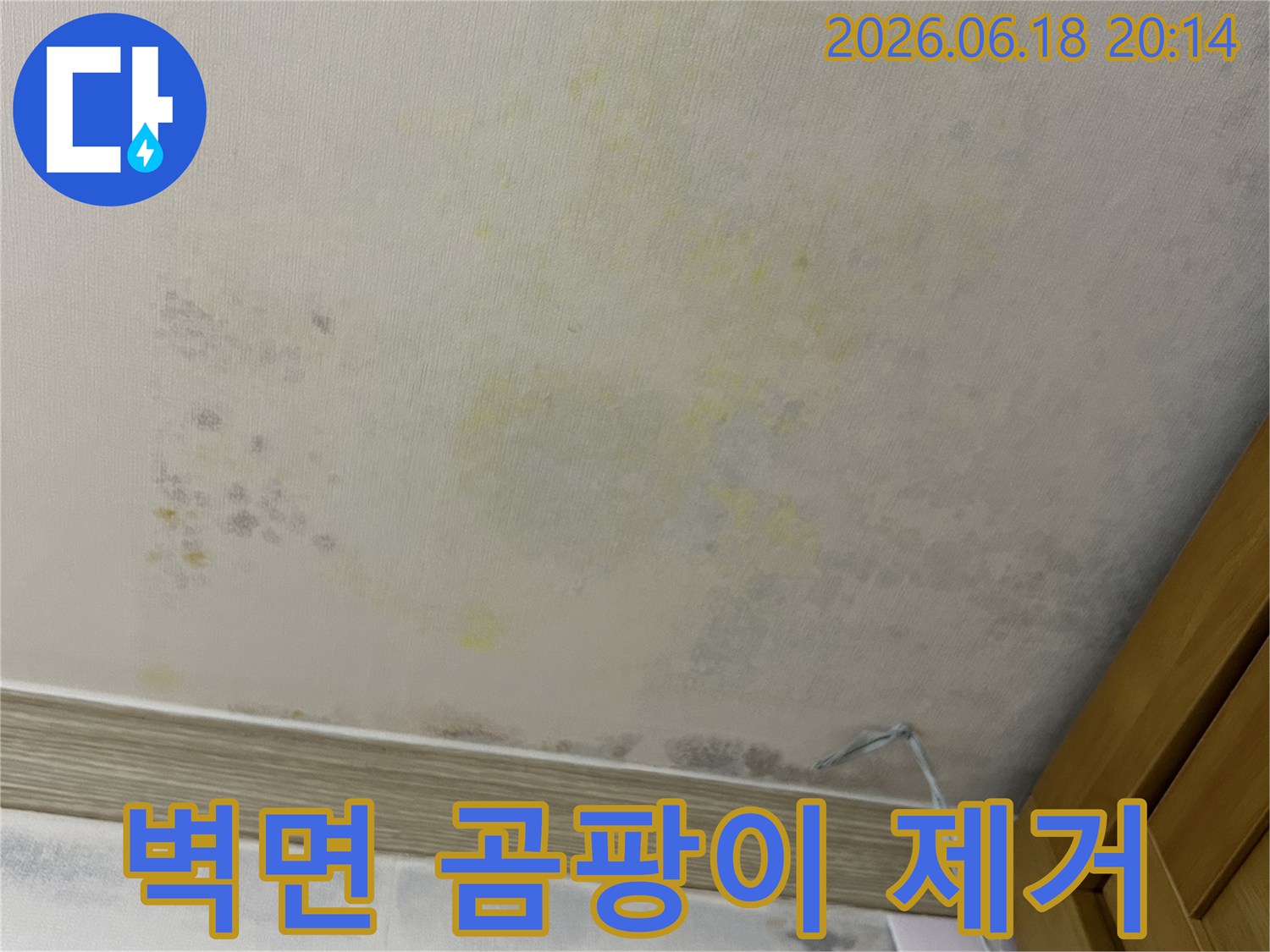 누수로 인해 벽면에 발생한-광범위한 곰팡이와-얼룩을 상세히 보여주는 사진