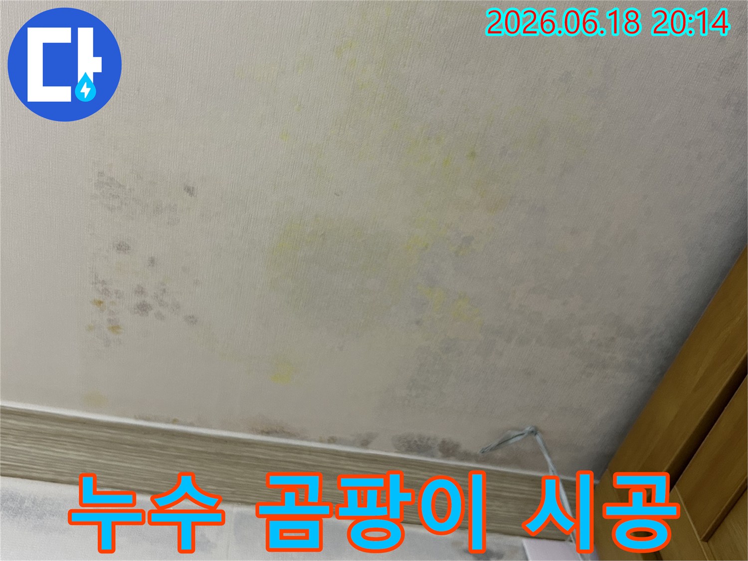 누수로 인해 벽지가 젖고-곰팡이가 심하게 번식한-아파트 내부 벽면