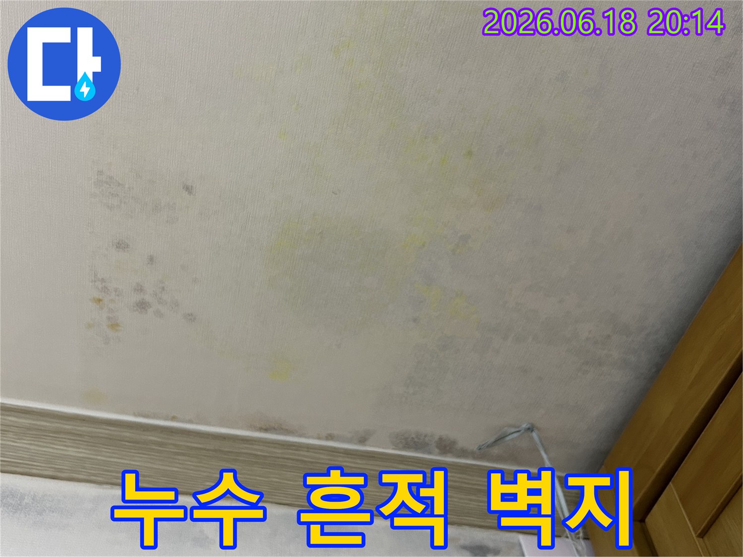 벽지 곳곳에 나타난-누수로 인한-얼룩과 곰팡이의 확산 모습