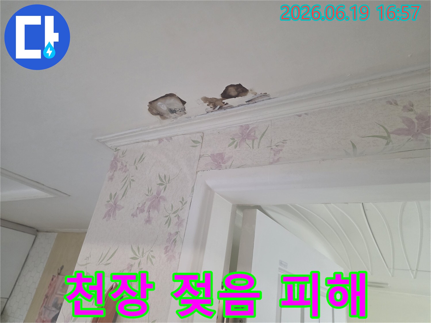 물에-젖어-변색되고-곰팡이가-핀-천장-모습을-보여주는-사진