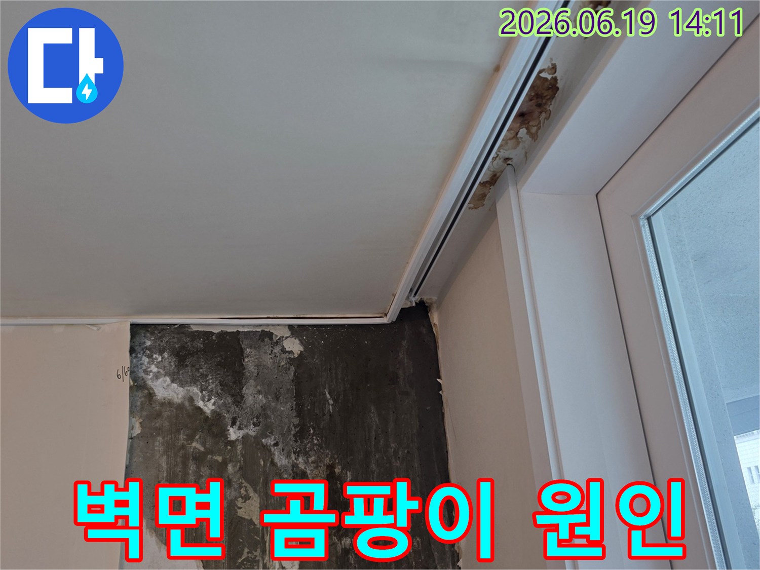누수로-인해-벽면에-광범위하게-번진-심각한-곰팡이-오염-상태를-보여주는-아파트-내부-현장-사진