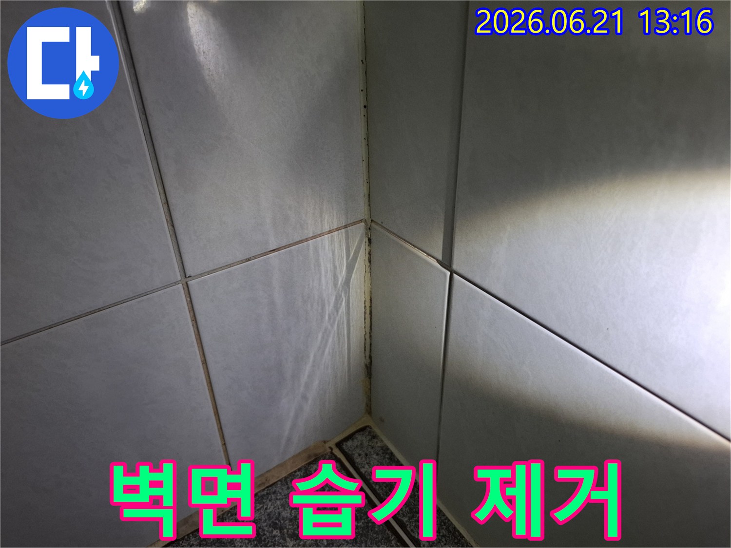 욕실-벽면-타일-틈새에-발생한-습기와-곰팡이-흔적을-보여주는-클로즈업-사진