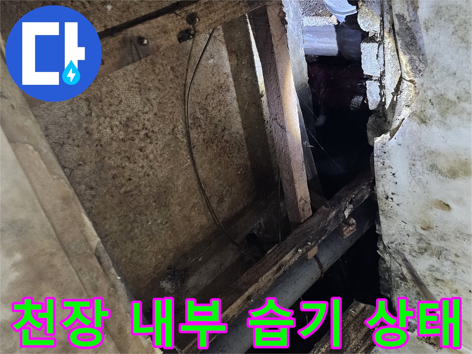 배관-주변의-곰팡이와-목재-부식-상태-촬영