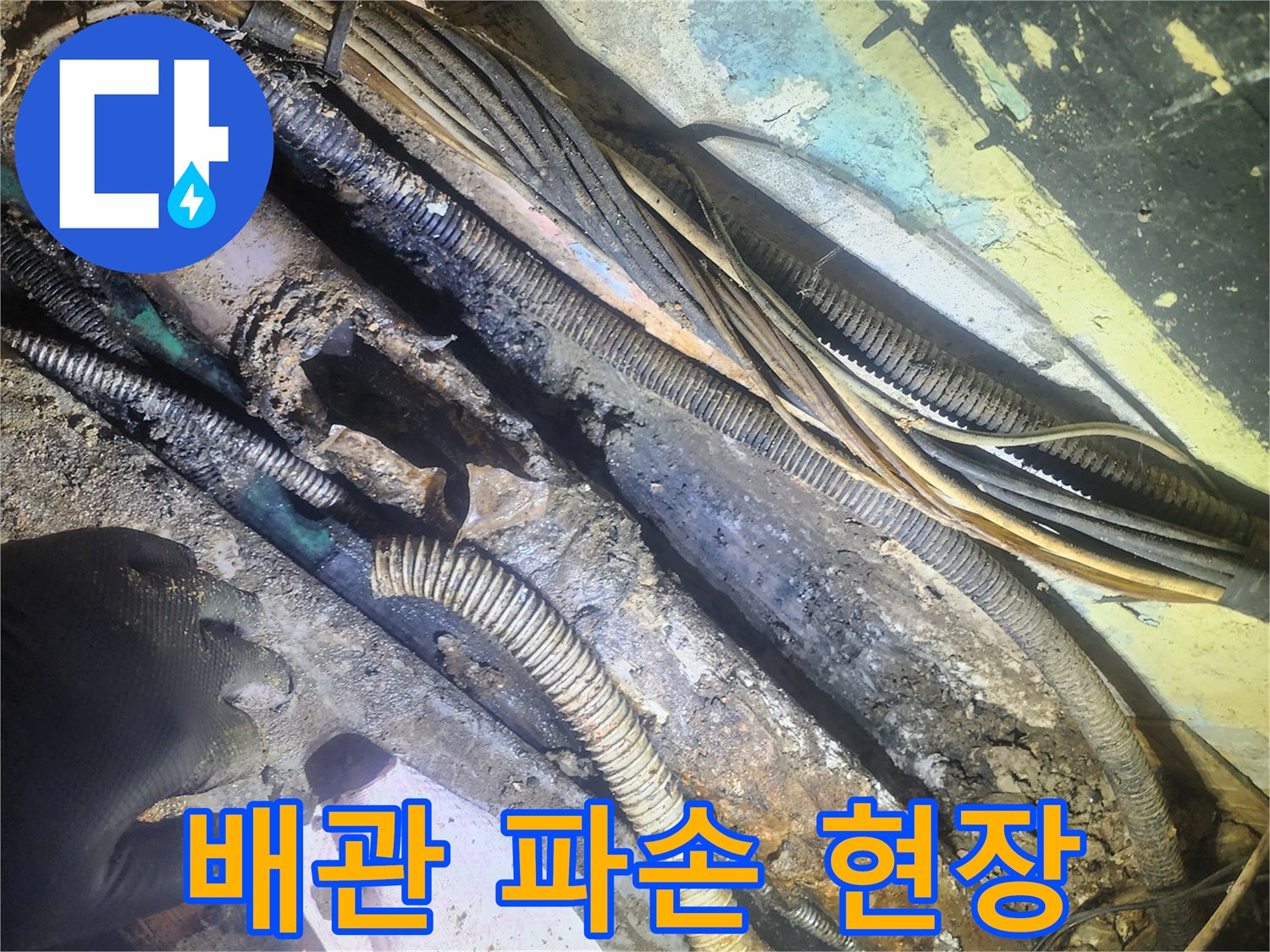 누수-공사-현장에서-발견된-심하게-손상된-배관과-주변-전선들