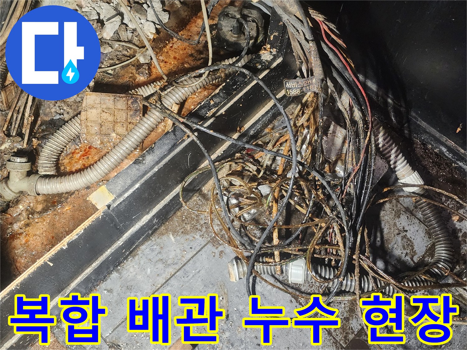 누수-엔지니어가-복잡하게-얽힌-배관과-전선-사이에서-누수-흔적을-찾아내기-위해-집중적으로-조사하고-있습니다